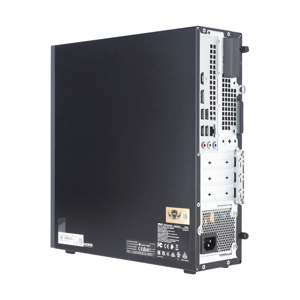 Desktop Asus ExpertCenter P500SV-05210H073X (90PF05A1-M00X70)
