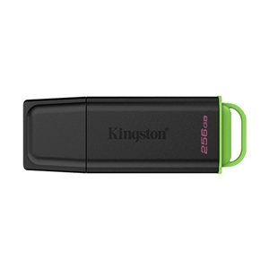 256GB Flash Drive KINGSTON Data Traveler Exodia (DTXG2) Black