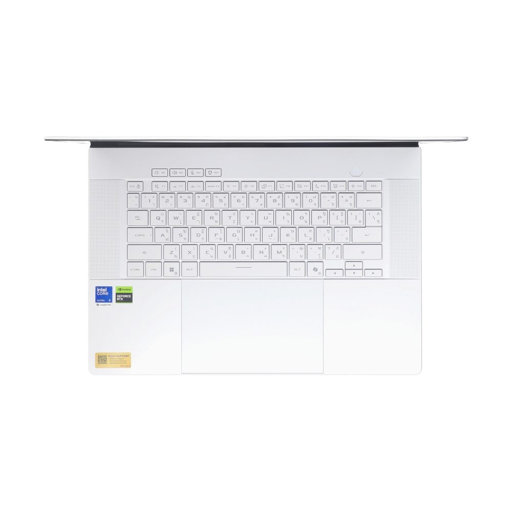 Notebook Asus ROG Zephyrus G16 GU606AW-TB118WA (Platinum White)