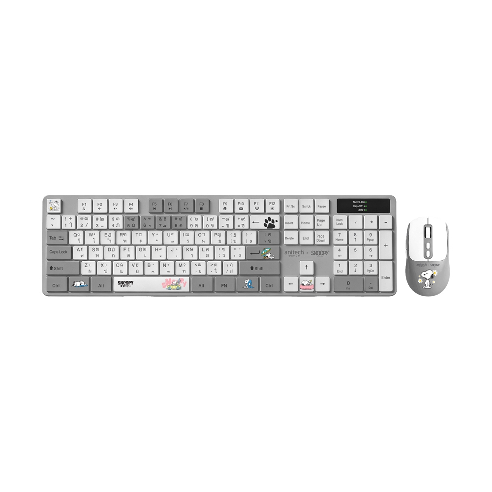 COMBO-WL ANITECH SNP-PA817 GREY