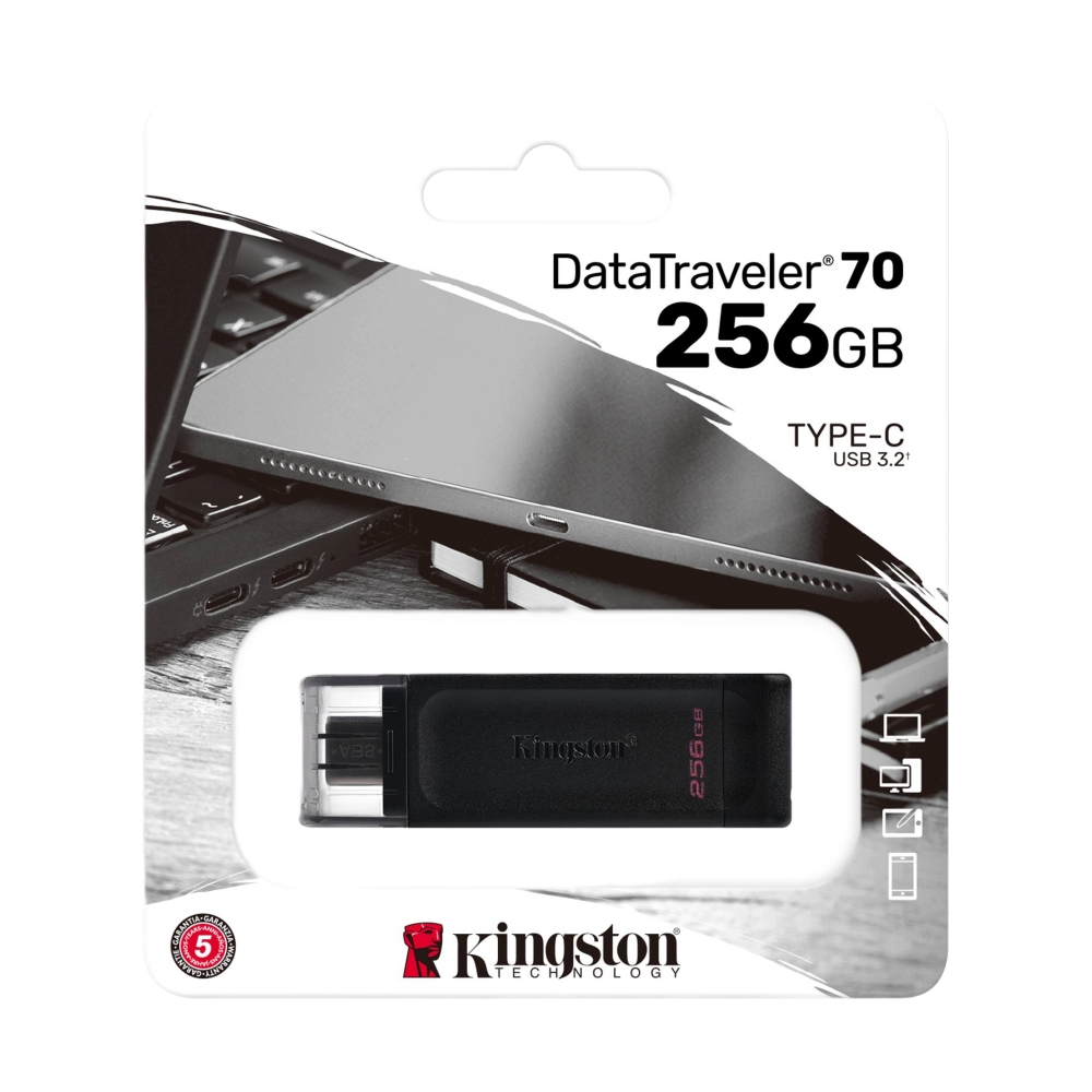 256GB Flash Drive KINGSTON (DT70M) Type-C