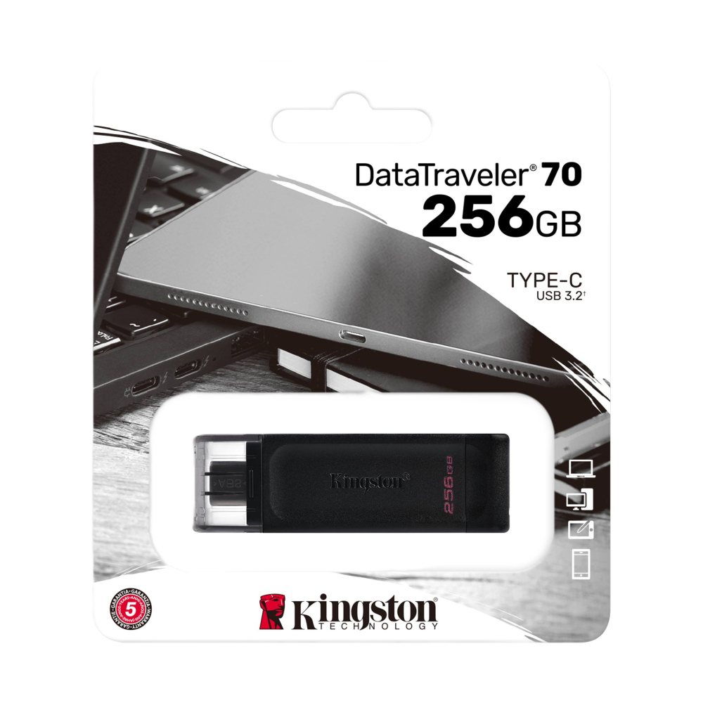 256GB Flash Drive KINGSTON (DT70M) Type-C