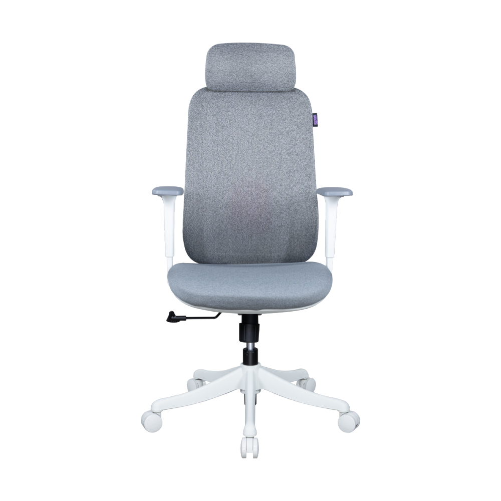 CHAIR NUBWO ERGONOMIC NXRG06 WHITE (เก้าอี้)