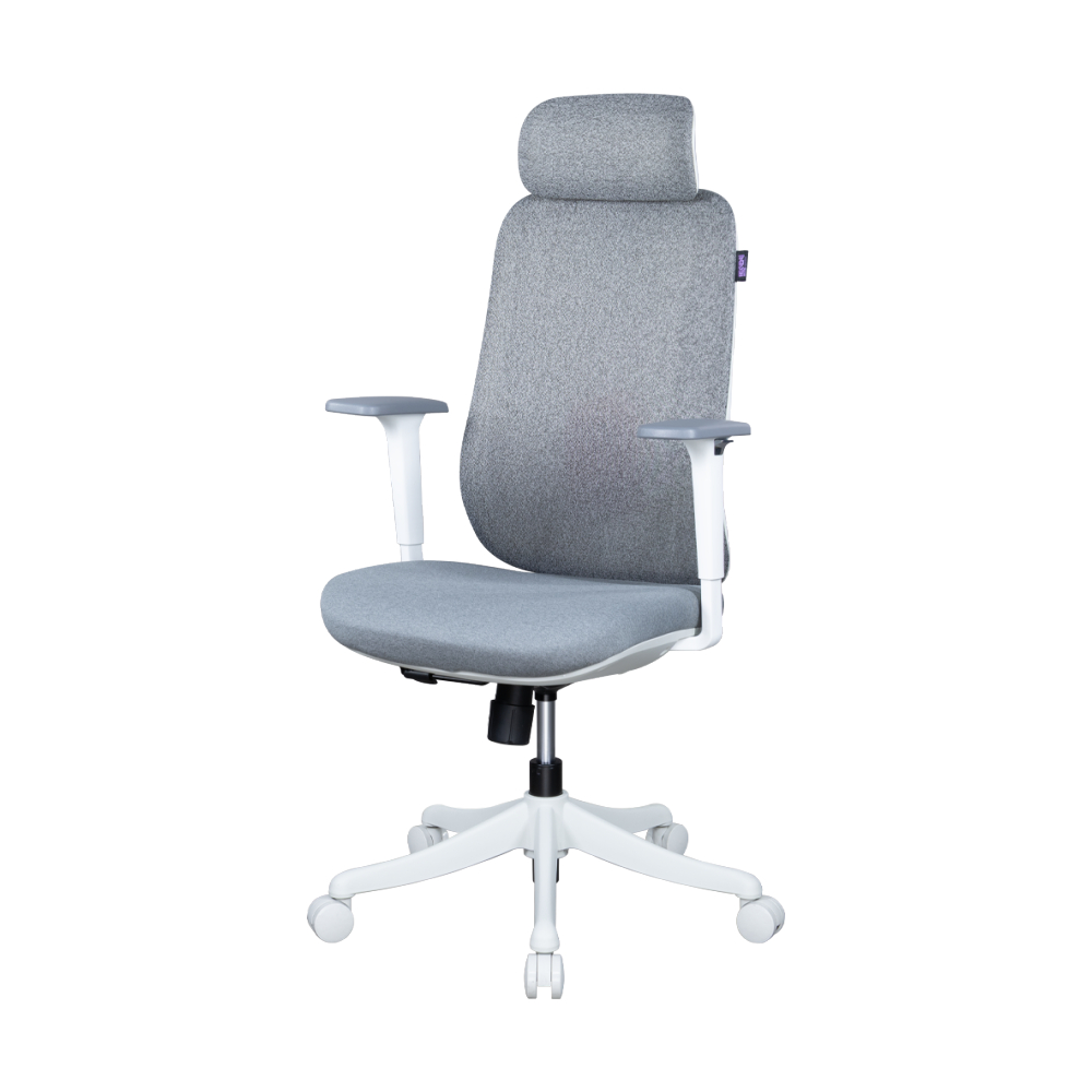 CHAIR NUBWO ERGONOMIC NXRG06 WHITE (เก้าอี้)