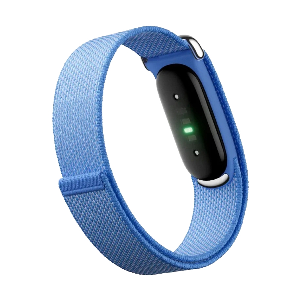 Google Fitbit Air - Lavender