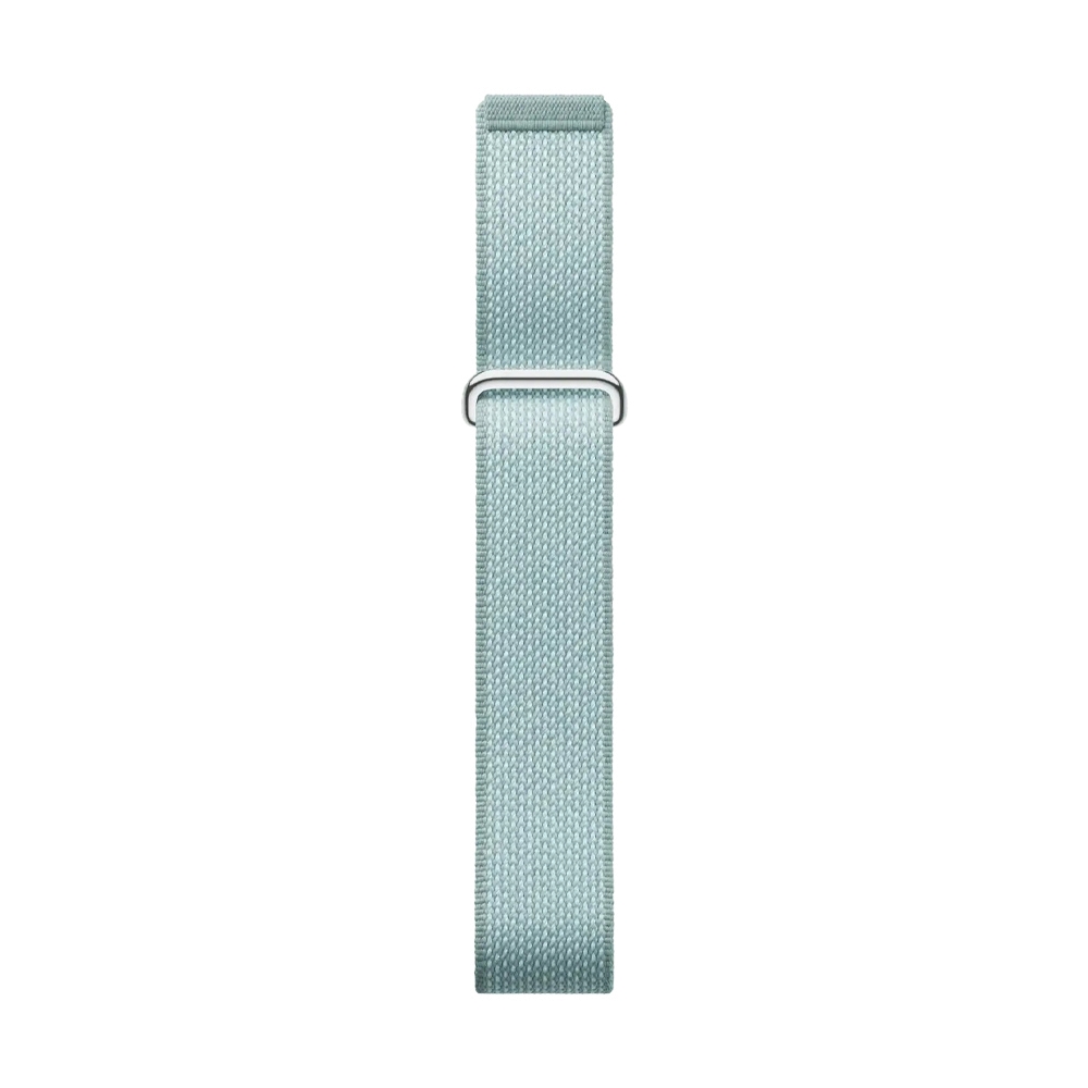 Google Fitbit Air - Fog