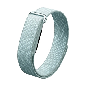 Google Fitbit Air - Fog