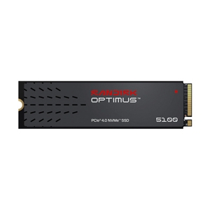 500 GB SSD M.2 PCIe 4.0 SANDISK OPTIMUS 5100 (SDSP51500GAN-000E0) NVMe M.2 2280