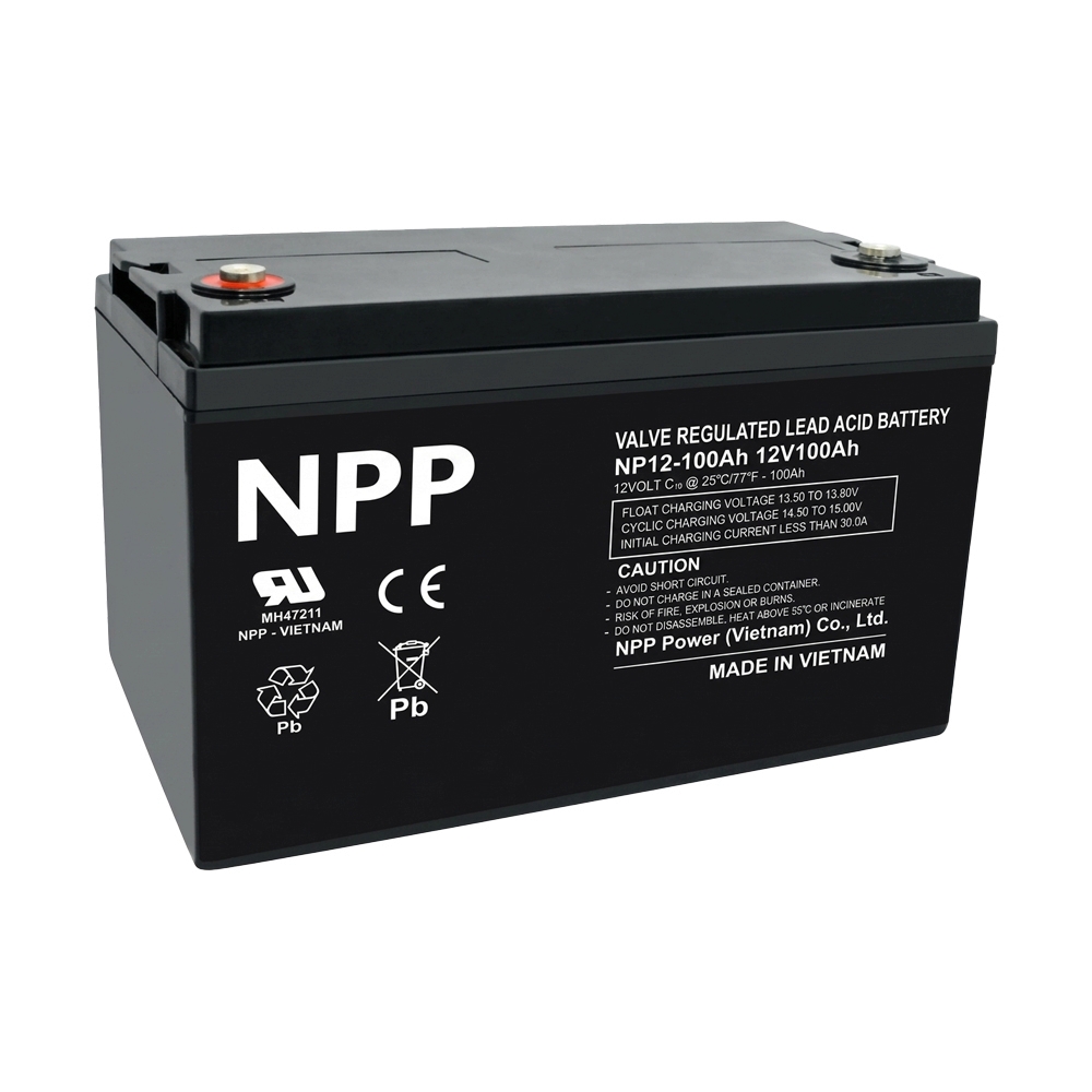 Battery 100Ah 12V NPP