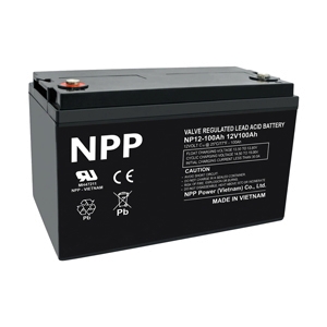 Battery 100Ah 12V NPP