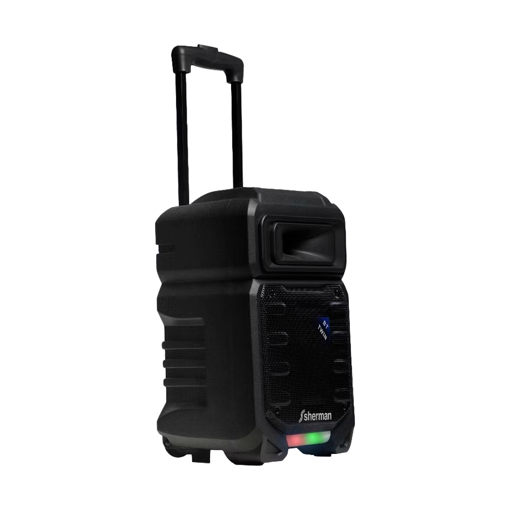 (1.0) ตู้ช่วยสอน SHERMAN (TS-101) BLUETOOTH BLACK