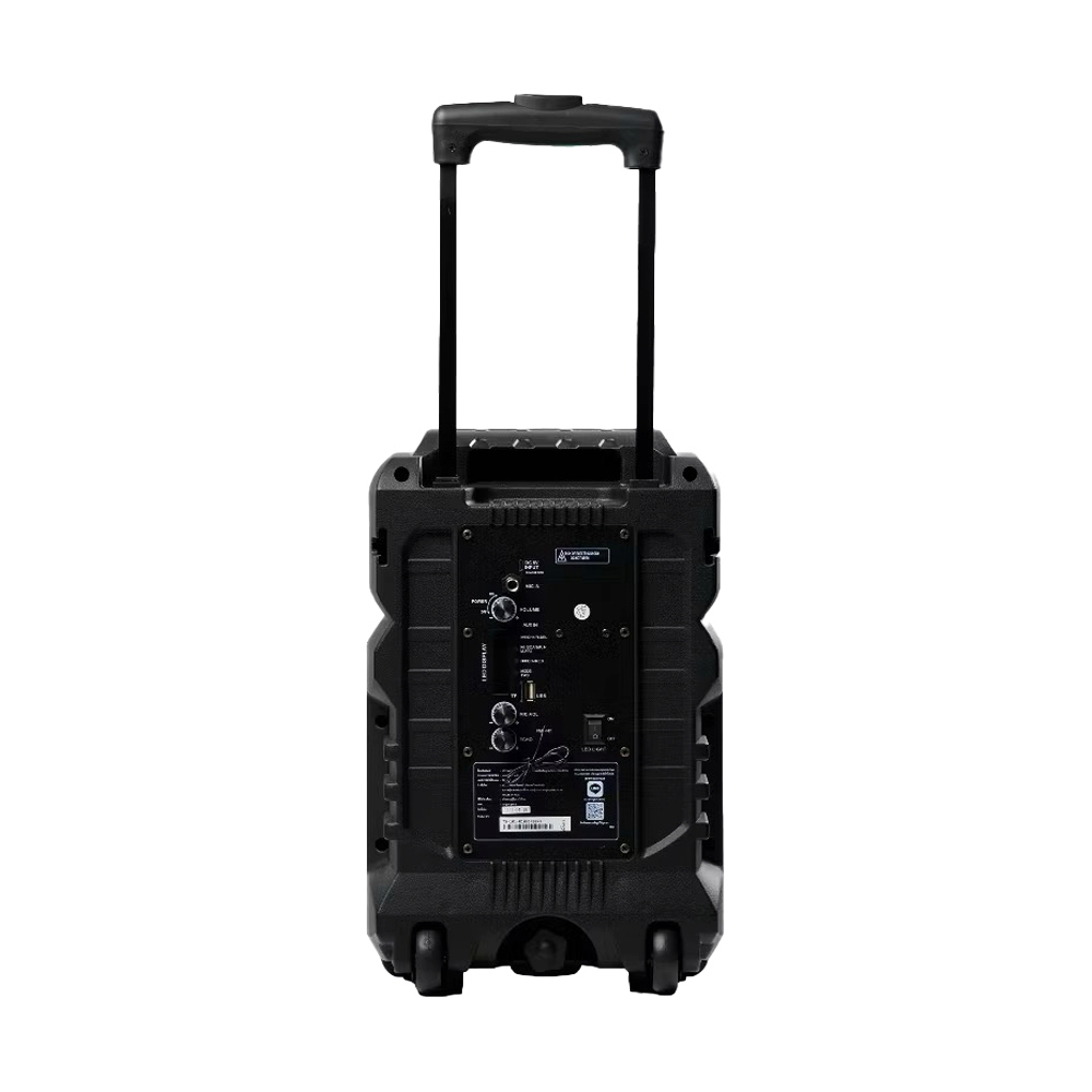 (1.0) ตู้ช่วยสอน SHERMAN (TS-101) BLUETOOTH BLACK