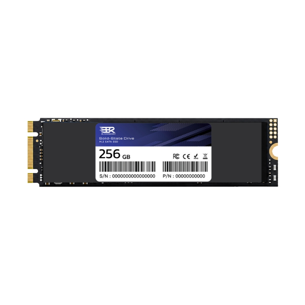 256 GB SSD M.2 SATA BLACKBERRY (BBR256GMS1A)